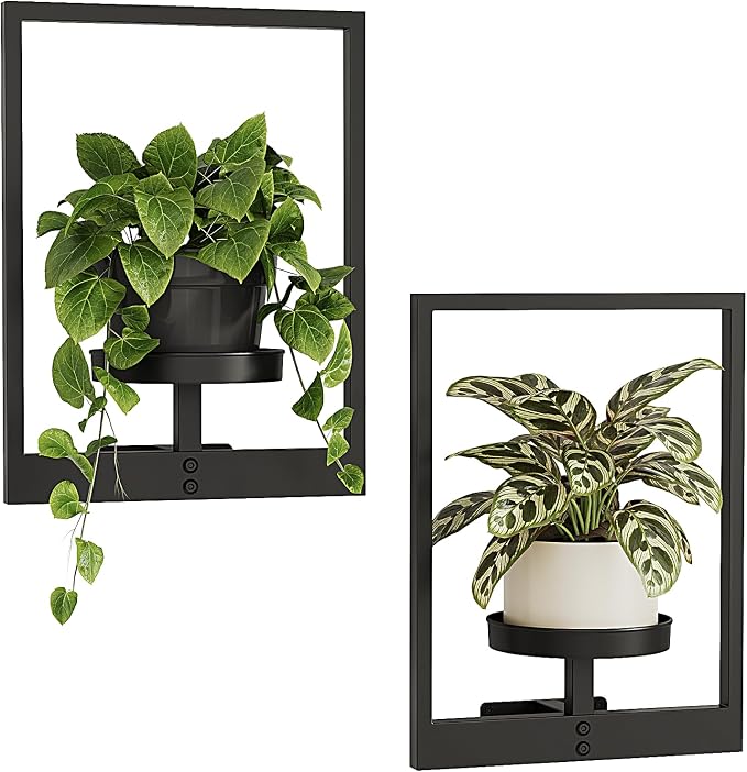 Bamworld Wall Plant Holder Plant Stand Indoor Wall Planters Black | Wall by Bamworld
