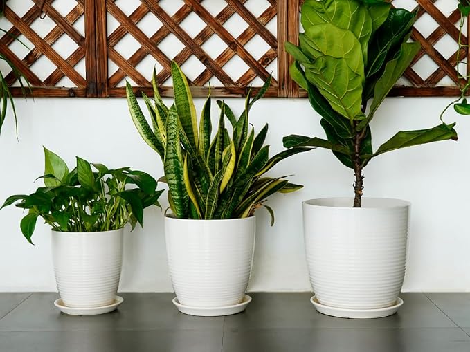 12 Inch Ceramic Planter Pot, Large Planter - Image 7