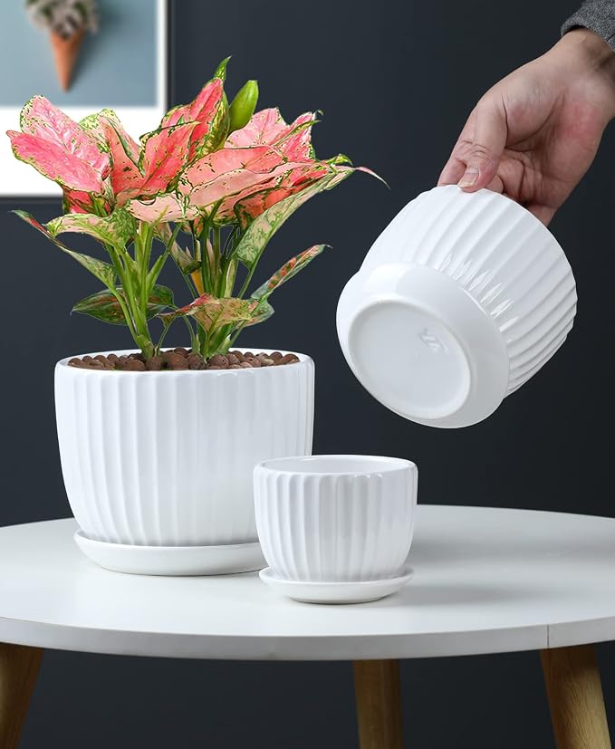 White Plant Pots, Ceramic Flower Pot Set of 3 - Image 6