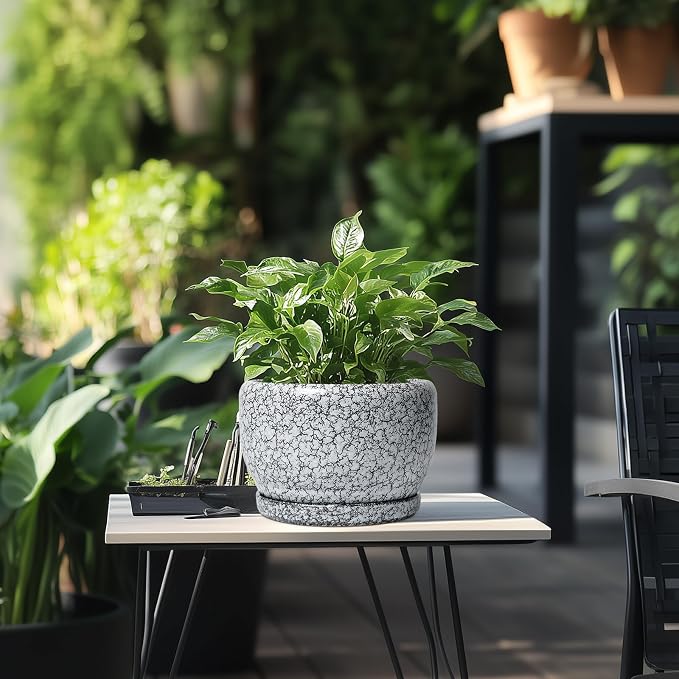 SQOWL 8 inch Plant Pot - Image 5