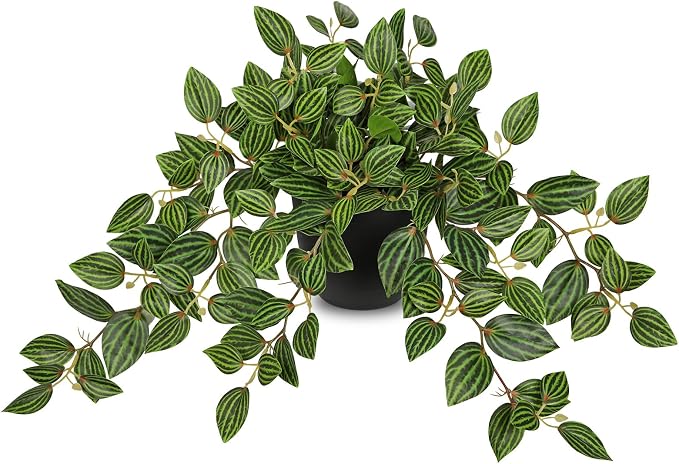Briful Artificial Potted Plant Indoor, 19.6" Faux Watermelon Peperomia Trailing by Briful