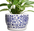 SQOWL Ceramic Pots for Plants by SQOWL