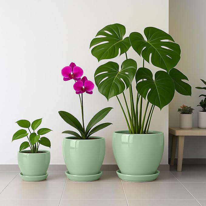 Deep Dream 8 Inch Plant Pots- Ceramic Pots - Image 7