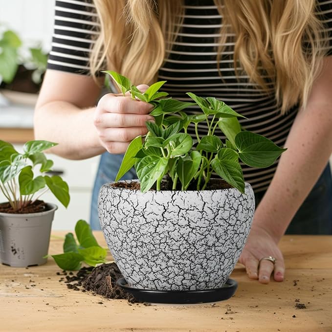 Ceramicfor Ceramic Planter Pot - Image 6