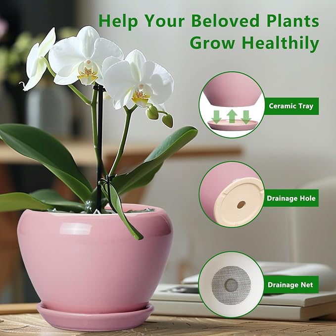 Ceramicfor Ceramic Modern Glaze Succulent Planter Pot - Image 6