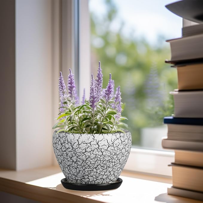 Ceramicfor Ceramic Planter Pot - Image 2