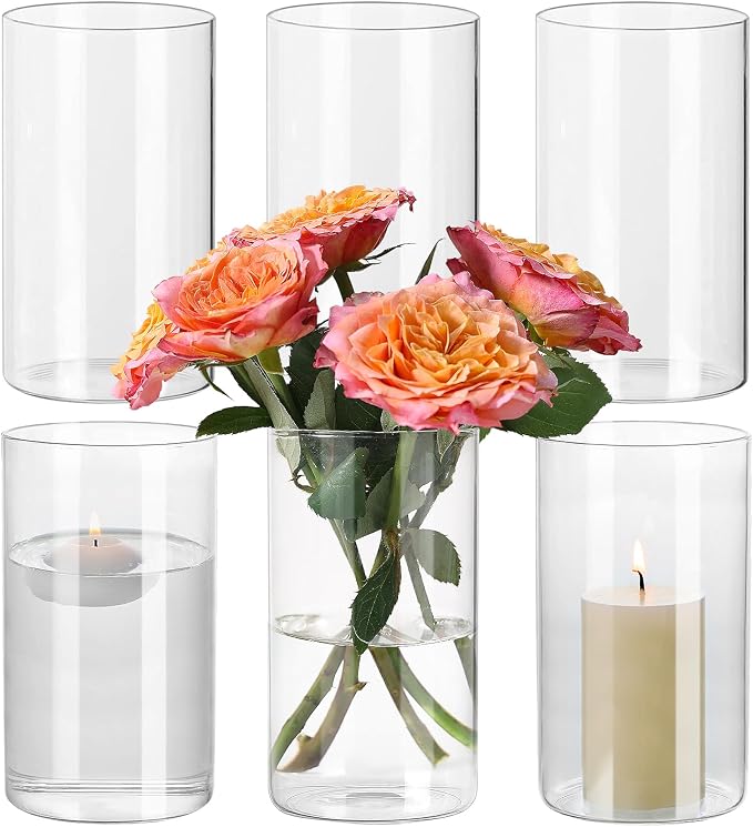 SUPMIND 6Pcs Glass Cylinder Vases, Hurricane Candle Holder Small Floral Vases by SUPMIND