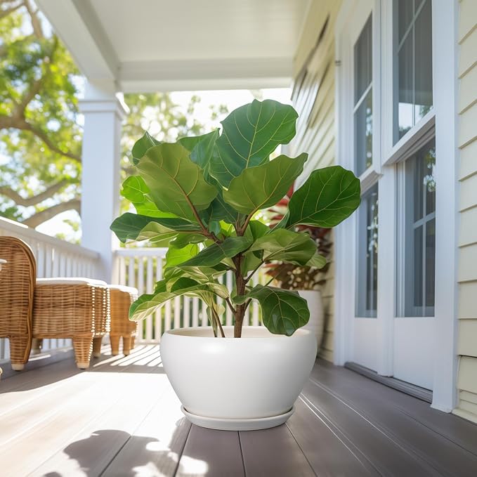 Ceramicfor Planter for Indoor Plants 13 Inch - Image 7