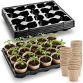 RooTrimmer 3.15 Inch Peat Pots 100 Pcs by RooTrimmer