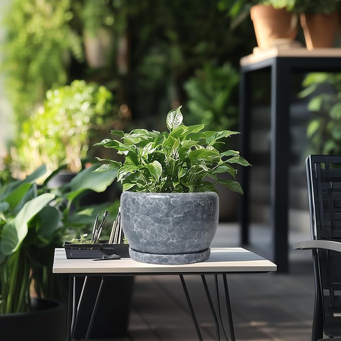 SQOWL 8 inch Plant pots Indoor - Image 5