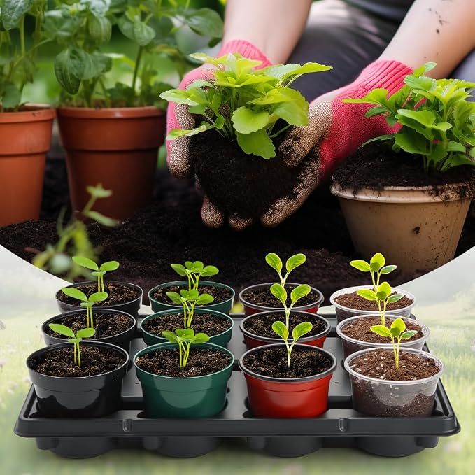 RooTrimmer 12 Cell Round Nursery Pot Trays Thickened Durable Seedling Pots - Image 5