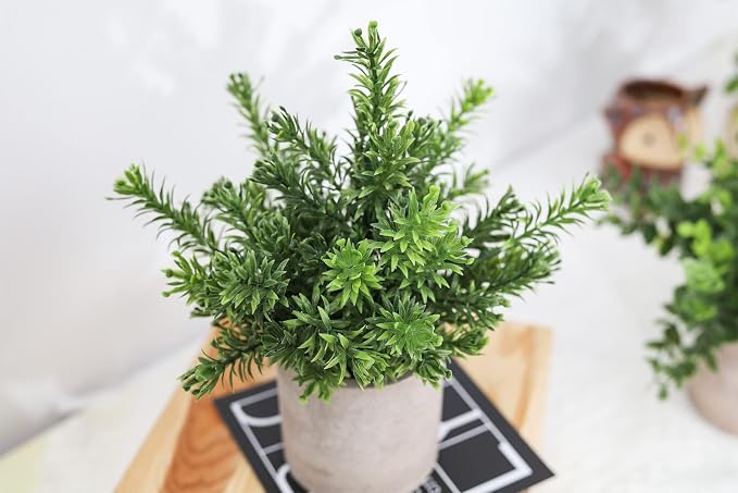 Der Rose 3 Pack Fake Plants Mini Faux Plants - Image 5