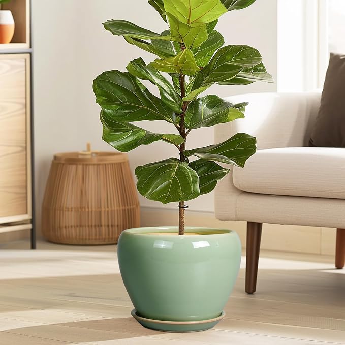 Ceramicfor 8 Inch Plant Pot - Image 2