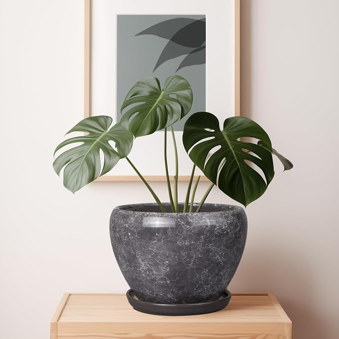 Ceramicfor Ceramic Planters for Indoor Plants - Image 7
