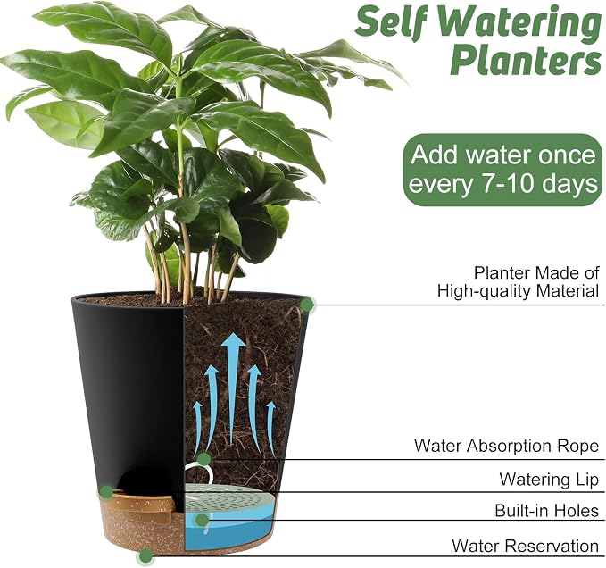YNNICO 8-Inch Plant Pots, Self-Watering Planters - Image 5
