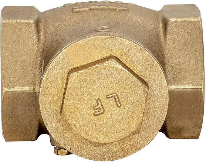 Eastman Brass Swing Check Valve, 2 Inch IPS, Brass Plumbing Fitting - Image 5