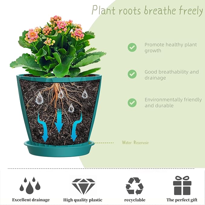 4 Inch Plant Pots, 6 Pack Indoor Flower Pots, Planters - Image 4