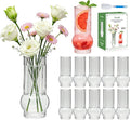 6.5Inch Drinking Glasses for Home Decor, Modern Clear Glass Glass Tumbler Set by Brajttt