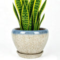 Deep Dream 8 Inch Plant Pots- Ceramic Pots by DeepDream