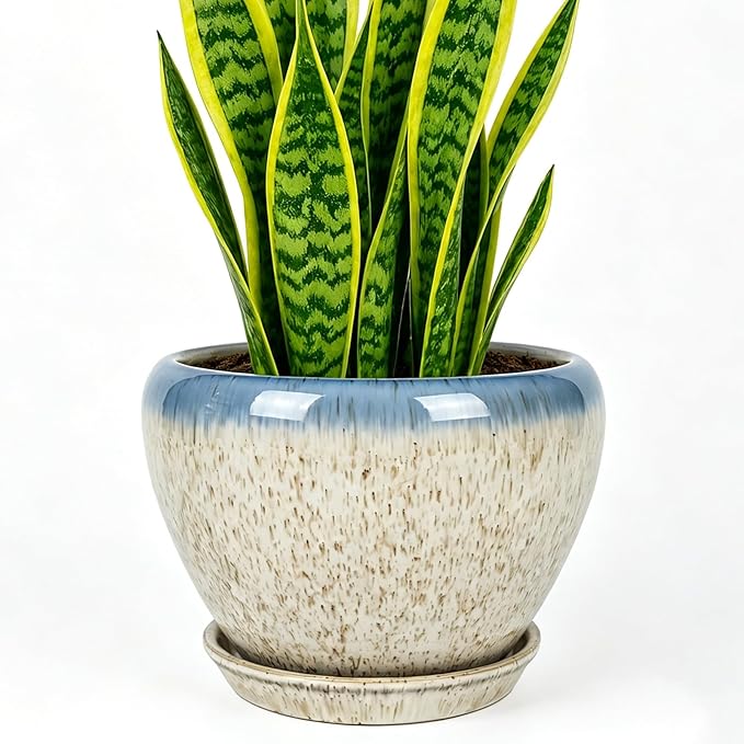 Deep Dream 8 Inch Plant Pots- Ceramic Pots by DeepDream