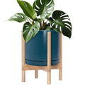 D'vine Dev Ceramic Pot with Natural Wood Stand, 12 in, 55-B-J-4 | Mid-Century by DvineDevPlanterPotsandStand
