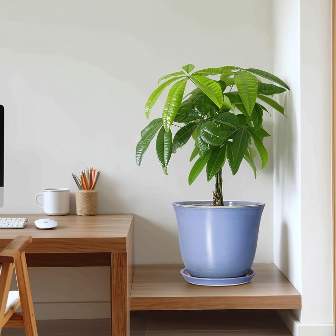 Ceramic Plant Pots, 10 Inch Plant Pot - Image 7