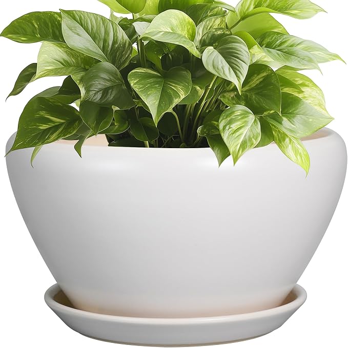 Ceramicfor Ceramic Planter by Ceramicfor