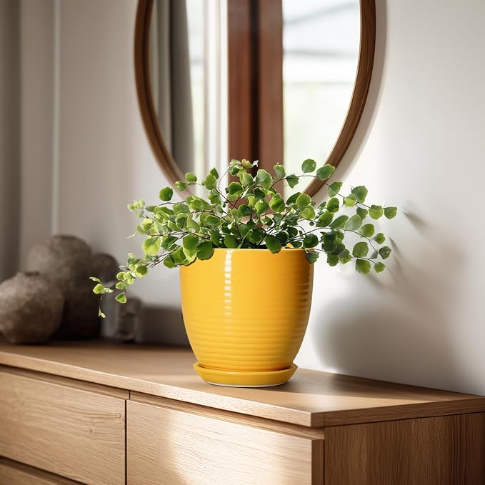 Ceramic Pots for Plants - Image 3