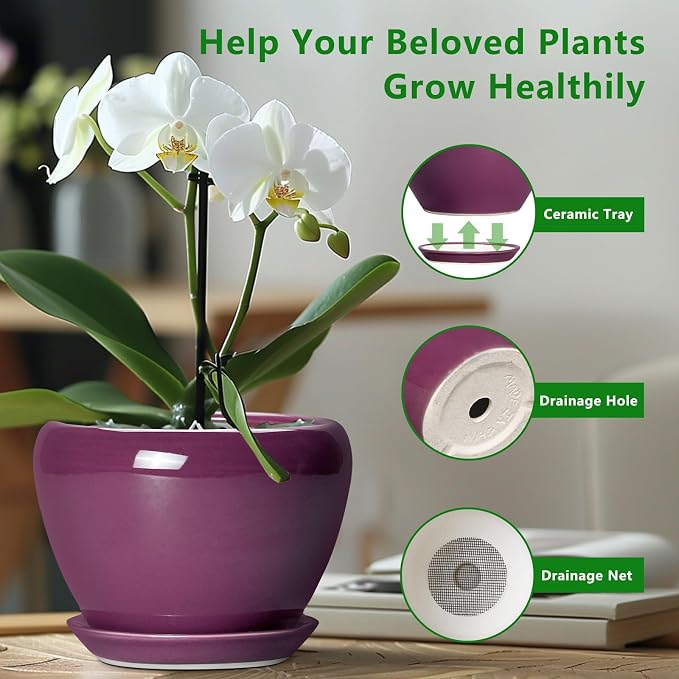 Ceramicfor Ceramic Pots for Plants 6 Inch - Image 4