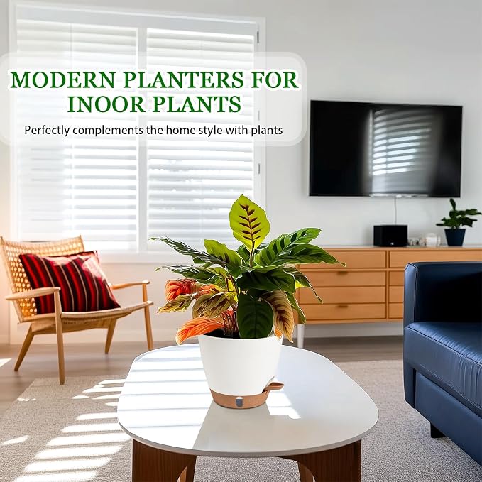 2 Pack 8 Inch Pots for Plants Indoor, Plastic Self Watering Planters | Drainage - Image 2