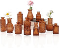 Set of 12 Glass Bud Vase Set, Small Vintage Clear Flower Vase Centerpieces by HAISIWLKJ