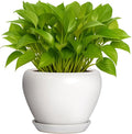 Deep Dream 6 Inch Plant Pot by DeepDream