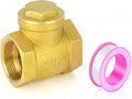 GASHER 1" Female Thread Brass Swing Check Valve, Backflow Prevention by GASHER