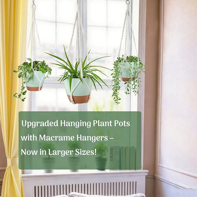 Bouqlife Large Hanging Planters - Image 4