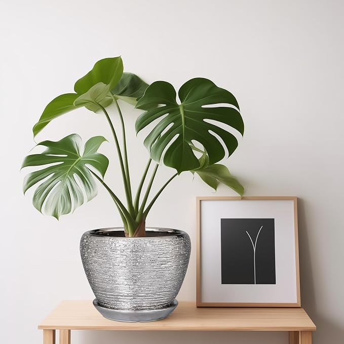 Ceramicfor Ceramic Planter - Image 5