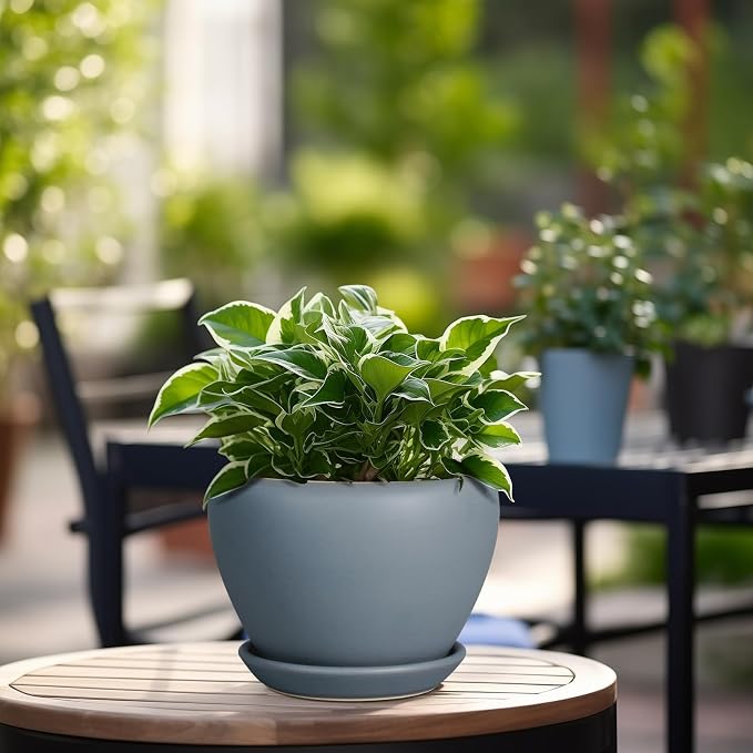 Ceramicfor Ceramic Pot for Plants - Image 4