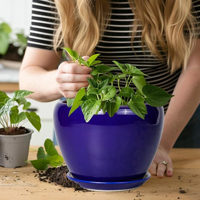Ceramicfor Ceramic Plant Pot 8 Inch, Planter - Image 7