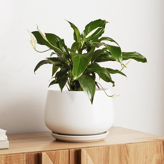 LE TAUCI Ceramic Planter, 10 Inch Plant Pot by LETAUCI