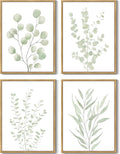 Drsoum Botanical Plant Framed Wall Art Boho Wall Decor by Drsoum