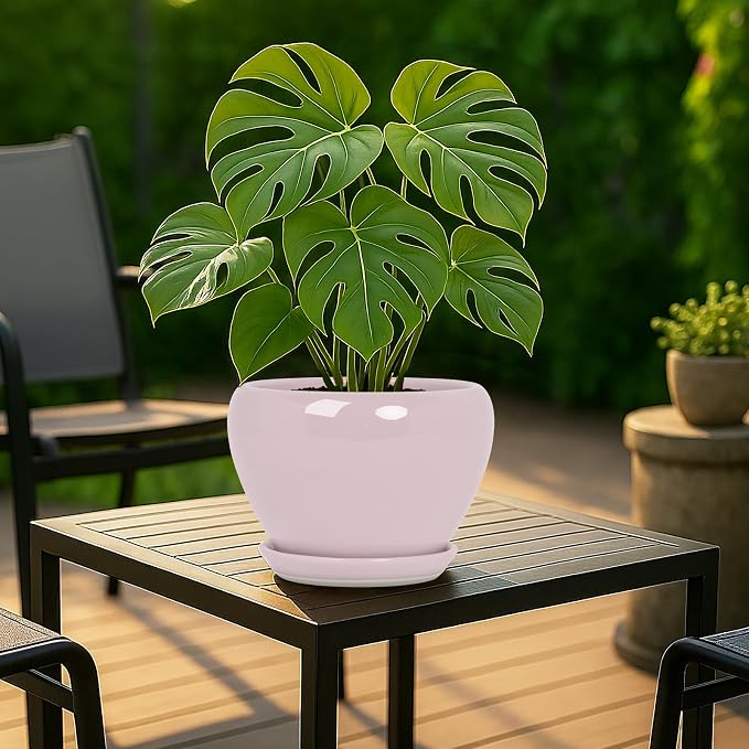 Deep Dream 8 Inch Plant Pots- Ceramic Pots - Image 3