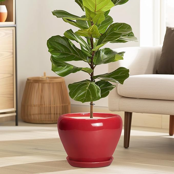Ceramicfor Ceramic Planter for Indoor Plants 8 Inch - Image 2