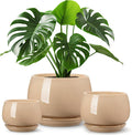 vancasso 3-Pack Ceramic Plant Pots, 3.7/4.8/6.2 Inch Indoor Planters by vancasso