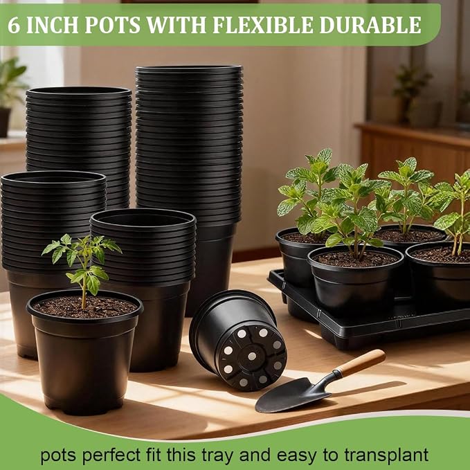 RooTrimmer 6 Inch Plastic Plant Pots 30 Pack and 6 Cell Nursery Pots Trays 5 - Image 4