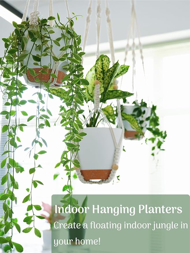 Bouqlife 3 Set Self Watering Hanging Planters - Image 7