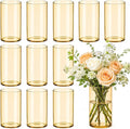 12pcs 6 Inch Gold Amber Glass Cylinder Vases by TBWIND