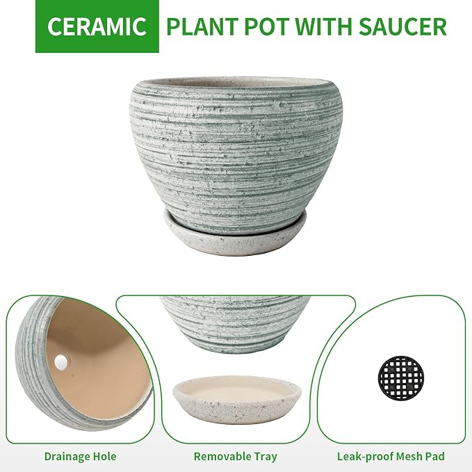 Deep Dream 6 Inch Plant Pots- Ceramic Planter Pot - Image 6