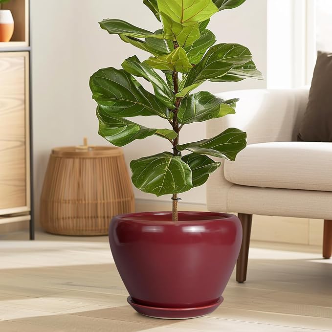 Ceramicfor 10 Inch Plant Pot, Ceramic Planter, Large Planter - Image 2