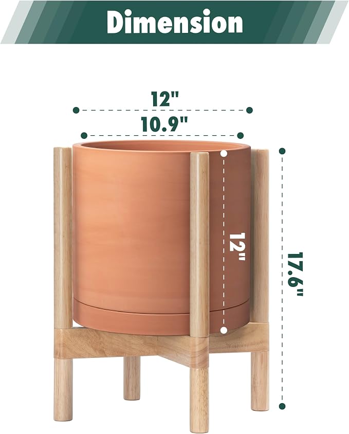 D'vine Dev Terracotta Pot with Natural Wood Stand, 12 in, 55-B-J-5 | - Image 3