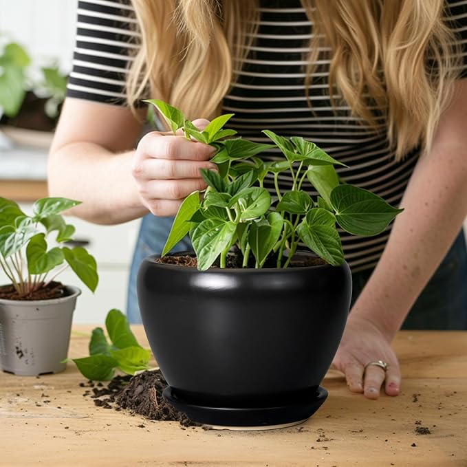 Ceramicfor Ceramic Planter Pot - Image 5