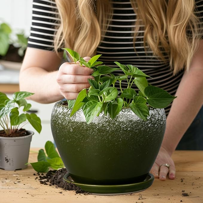 Ceramicfor 8 Inch Plant Pot - Image 7